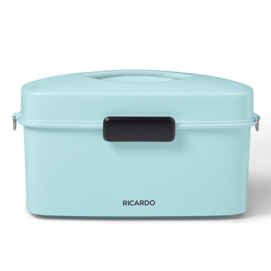 RICARDO Electric Steamer - Photo 2