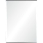 RAIZEL MIROR